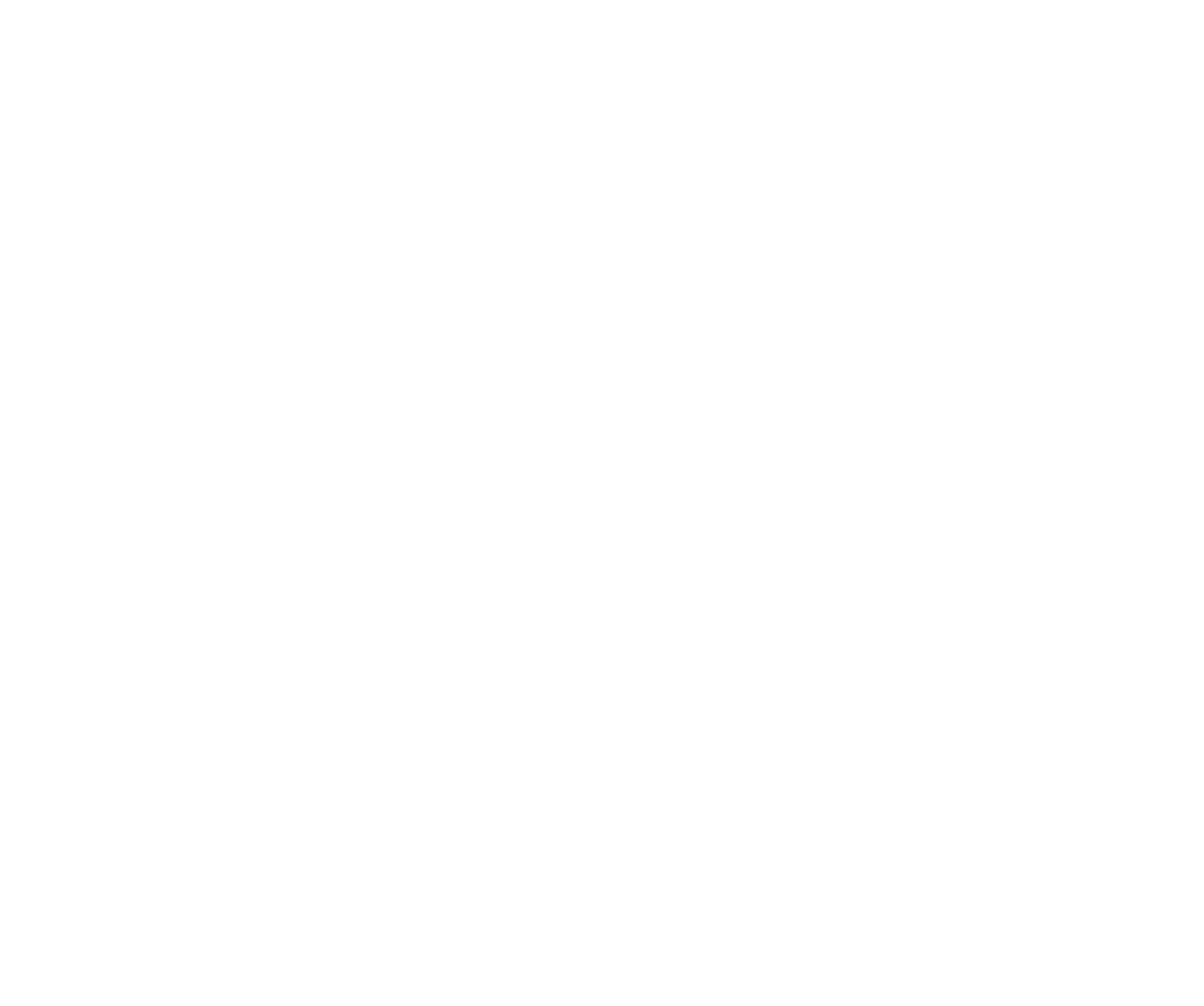 Black Flag Cattle logo